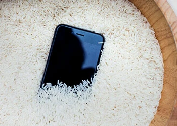 Phone in bowl of rice to dry
