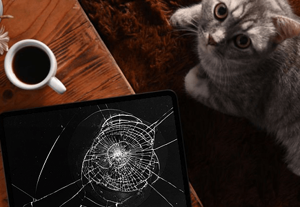 Pet-Proof Your Devices