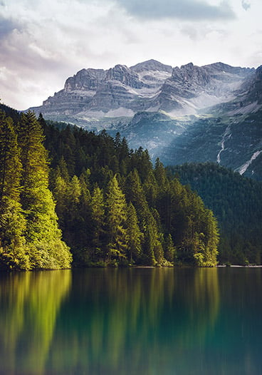 Tree Forest Mountains on Lake