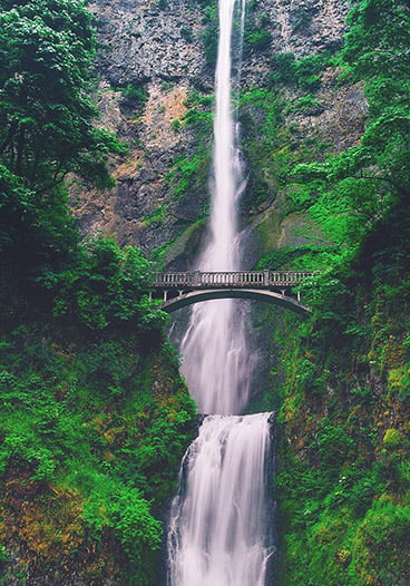 Waterfall in Nature Scene