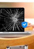 Insurance