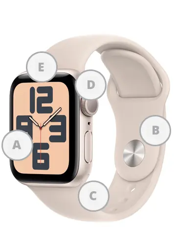 How much does it cost to repair an Apple Watch vs having insurance? What Apple Watch repairs are covered by the Warranty and Apple Watch Insurance?